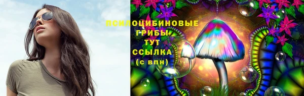 ГАЛЛЮЦИНОГЕННЫЕ ГРИБЫ Нягань