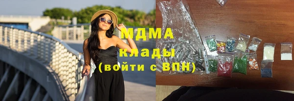 индика Няндома