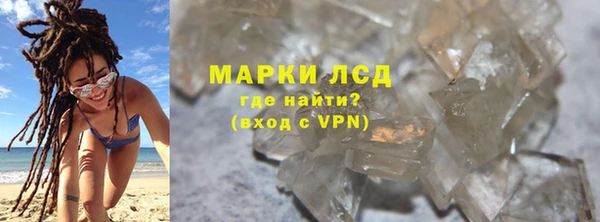 индика Няндома