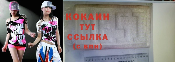 индика Няндома