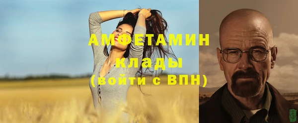 индика Няндома