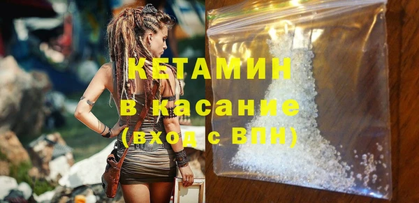 индика Няндома