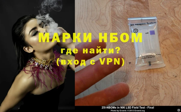 индика Няндома