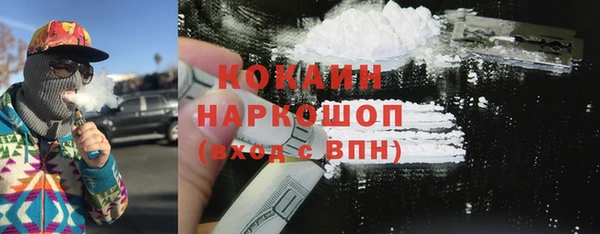 индика Няндома